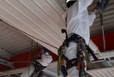 69259279_474154523408332_5385348265686335488_n