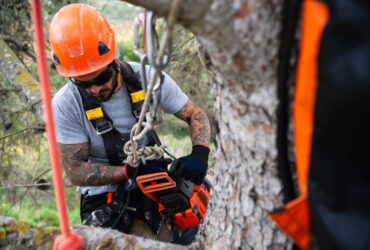 Arborist using chainsaw while hanging from rope accessing a tree