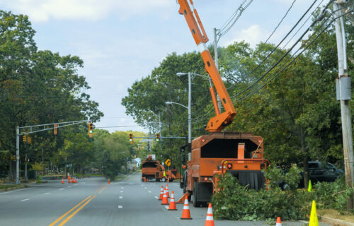 Branches that have been ground into chips by a wood chipper machine are shredded wood Branches that have been ground into chips by wood chipper machine are shredded wood