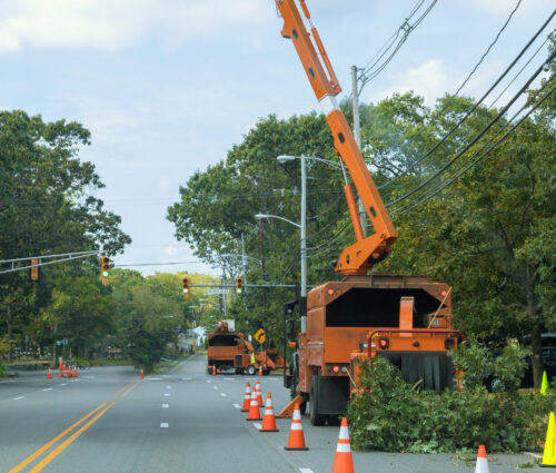 Branches that have been ground into chips by wood chipper machine are shredded wood